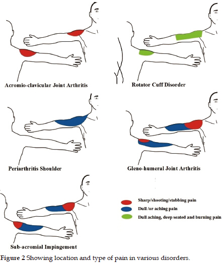 describe rotator cuff pain